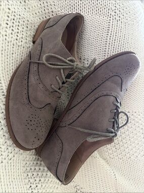 Womens Suede Wingtip Oxfords in Taupe